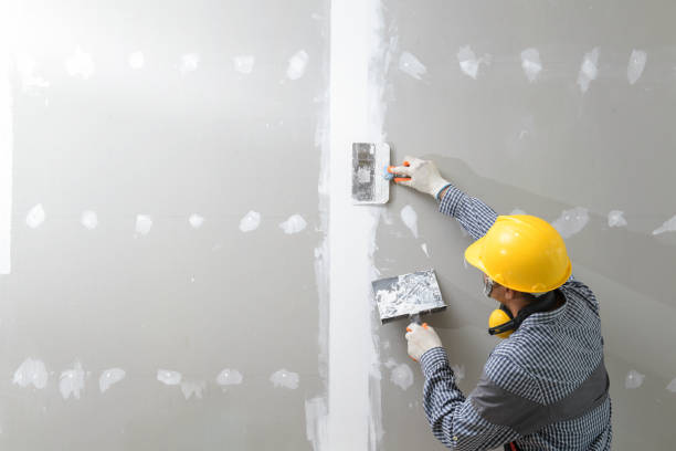Best Commercial Mold Inspection  in Pinconning, MI